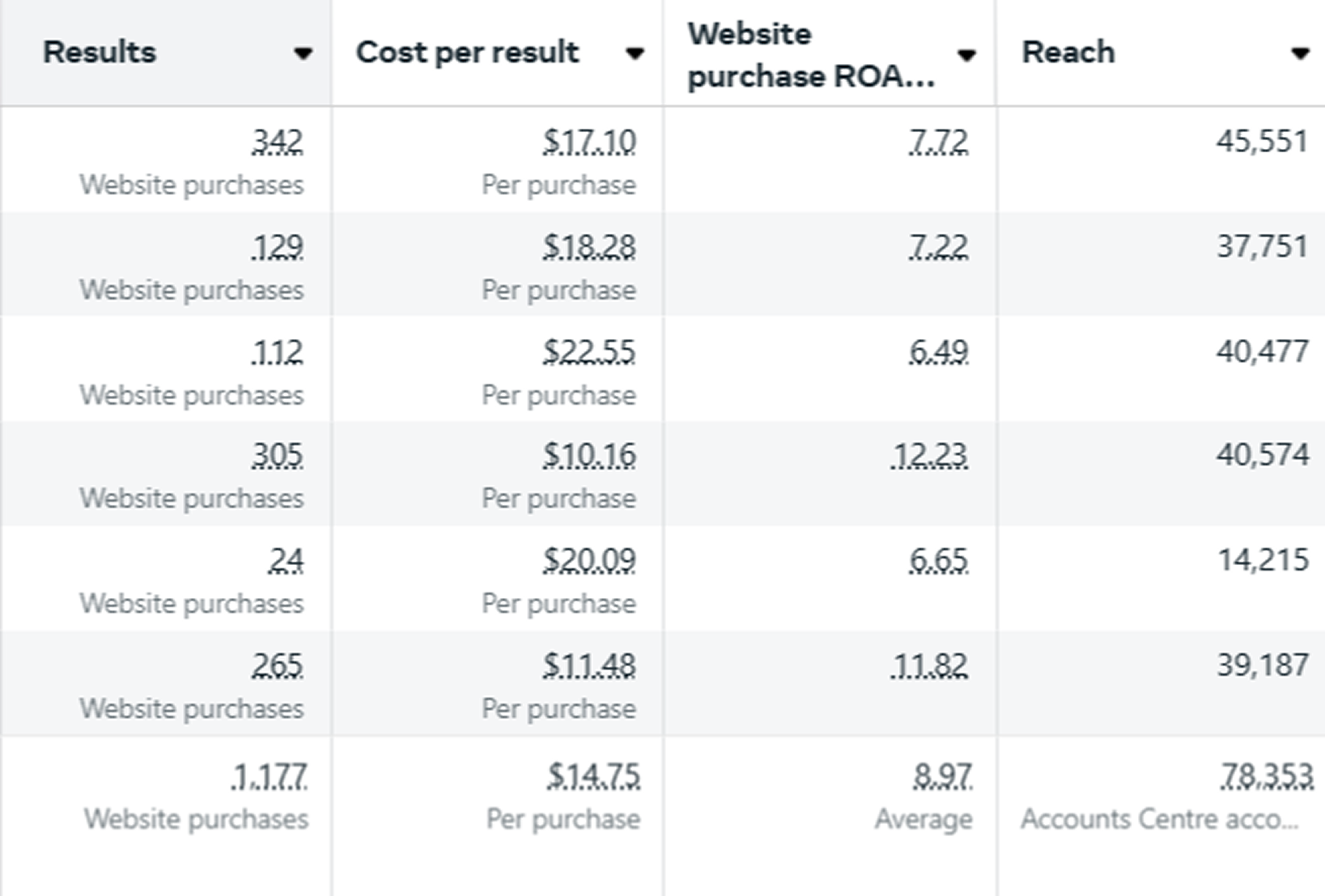 Meta Ads Campaign Performance